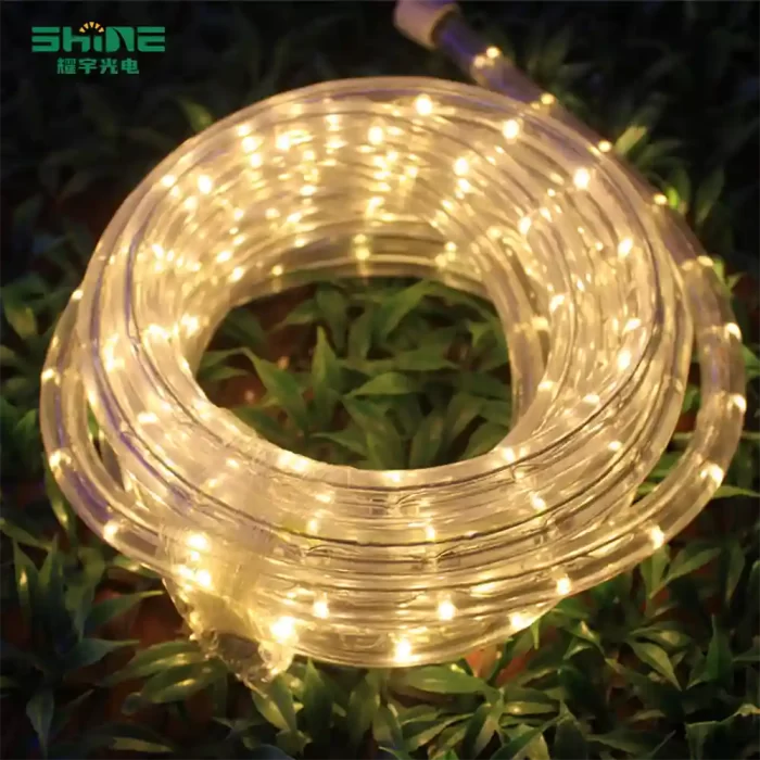 LED string lights bundled gently on green grass, glowing warmly with a relaxed and slightly organized appearance.