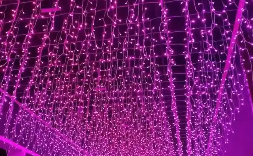 Wedding Reception Curtain Light Backdrop | Romantic Photo Display Lighting 💕