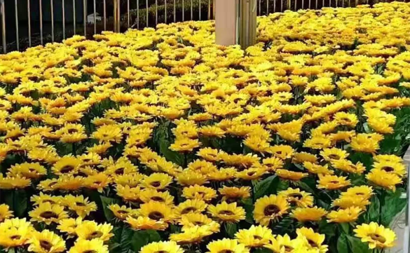 Sunflower-solar energy