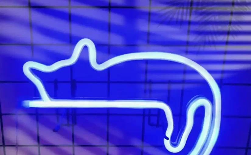 Cat Neon Light Lying Cat Sign | SHINE LED Factory