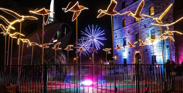 Night view of a city park with illuminated bird-shaped 3D motif light sculptures on tall poles and a firework-shaped light installation in the background, showing an artistic outdoor lighting project.