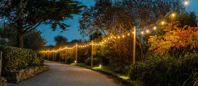 Backyard String Lighting