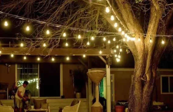 Backyard String Lighting
