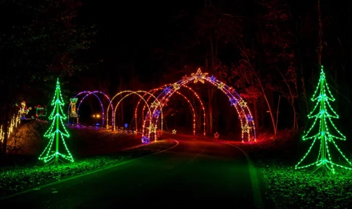 Curving forest road lined with repeated colourful 3D motif arch tunnels and tree-shaped light sculptures, showing how modular sections assemble into a long lighted drive-through.