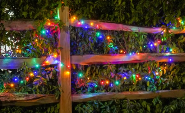 Multicolor string and motif Christmas lights woven along a wooden fence and dense greenery to brighten the yard at night.