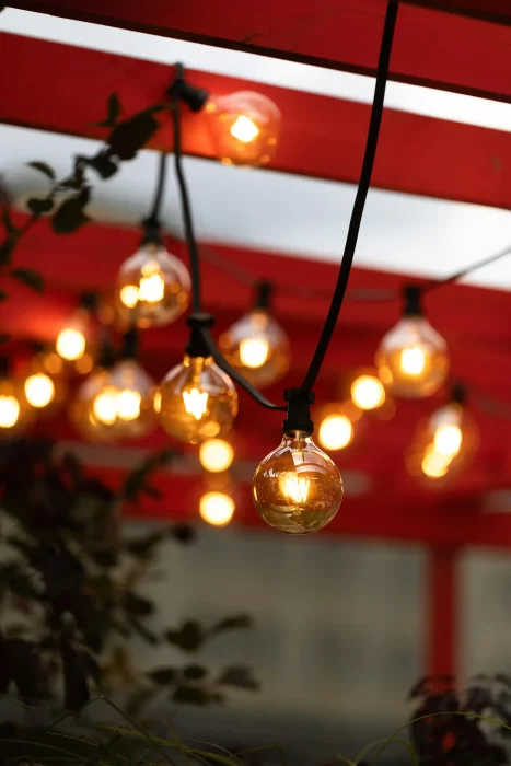 Dense overhead canopy of Edison bulb string lights for dining areas