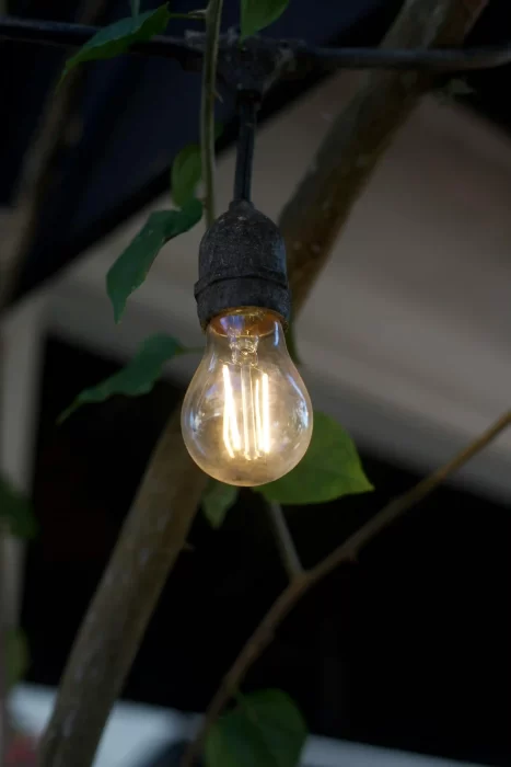 Outdoor-rated E26 socket on Edison bulb string lights near foliage