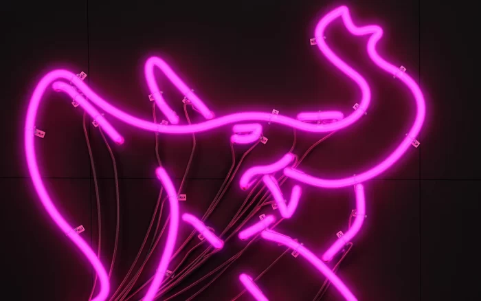 Pink neon elephant outline on a dark wall, an organic light motif shape that suggests friendly and flexible brand personality