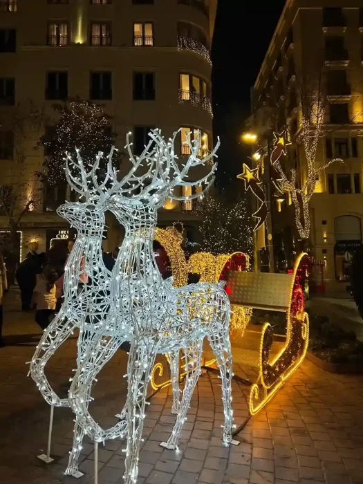christmas motif lights in an urban outdoor display with illuminated reindeer and sleigh